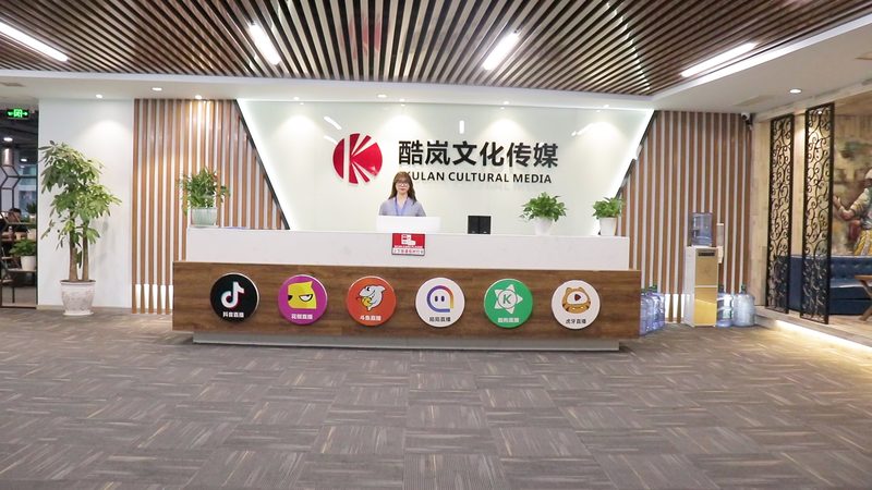 政府形象宣传片制作，费用构成与影响因素解析